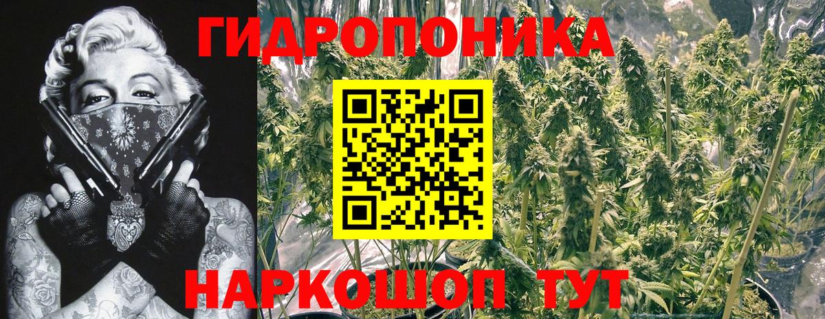 ГАШ  ТГК  Alpha-PVP СК   Мефедрон кристаллы  Вход с VPN  Cocaine  Купить наркотик  Кириши  Гашиш  Конопля 